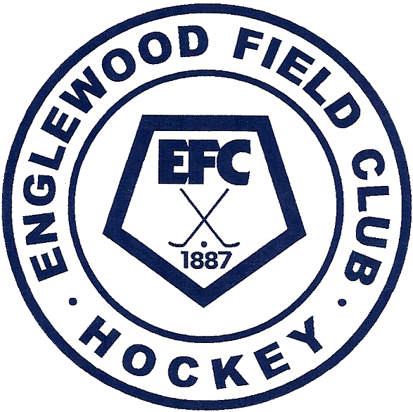 New Hockey Logo
